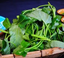 Stir-fried Water Spinach