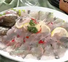 Surf桂鱼