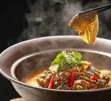 Farmhouse Stewed Softshell Turtle