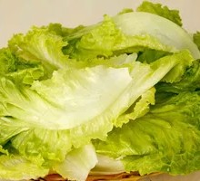Lettuce