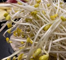 Country Bean Sprouts