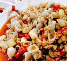 Frog Stomach