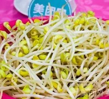 Premium Bean Sprouts