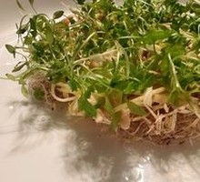 Refreshing Ice Skin Chicken