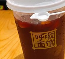 Homemade Plum Syrup