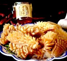 Fresh Squid