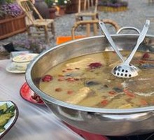 Wild Mushroom and Free-range Chicken Stew