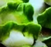 Jade Cabbage