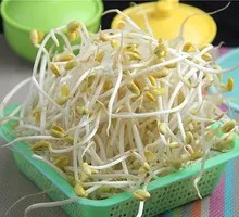 Bean sprouts