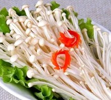 Enoki Mushroom