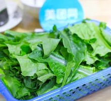 Fresh Lambsquarters