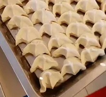 Homemade Frozen Dumplings