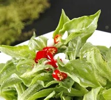 Double Pepper Ice Plant