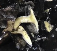 Wild Jieba Mushroom