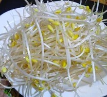 Bean sprouts