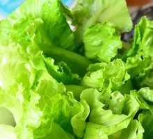 Lettuce