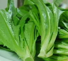 Oilseed lettuce