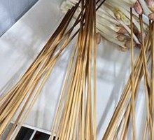Bean sprouts