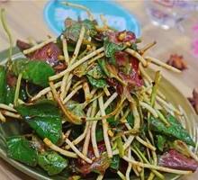 Horseweed Salad