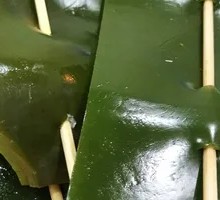 Kelp