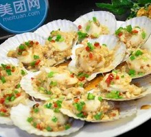 Scallop
