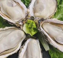 Rushan Oyster