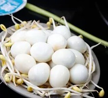 Quail Egg