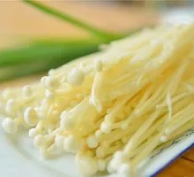 Enoki Mushroom