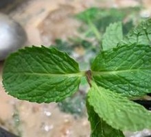 Mint
