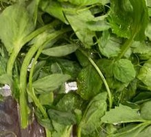 Pea Shoots