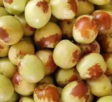 Seasonal Fruit