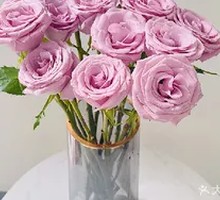 Purple Rose
