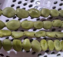Roasted Broad Beans