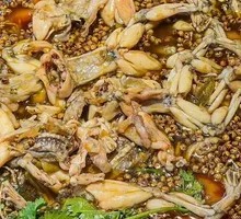 Rice Field Frog