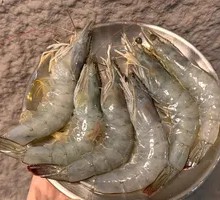 Fresh Frozen Prawn