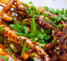 Squid Tentacles