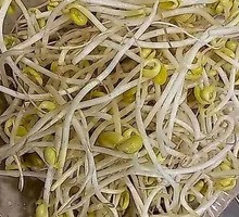 Bean sprouts