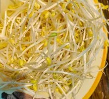 Bean sprouts