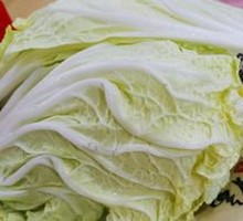 Sea lettuce