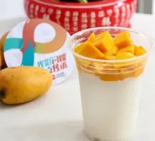 Mango Double-Skin Milk Custard
