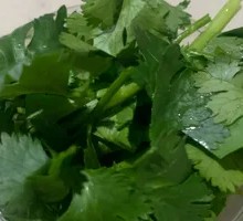 Cilantro