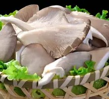 Enoki Mushroom