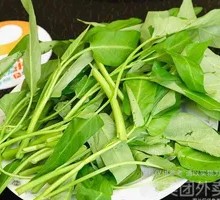 Water Spinach