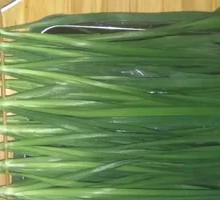 Leek