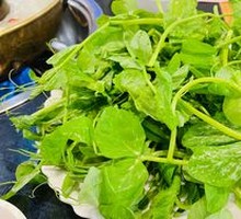 Pea Shoots