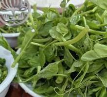 Pea Shoots