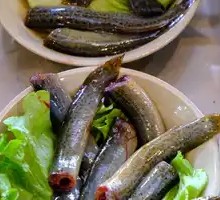 Freshly Killed Eel