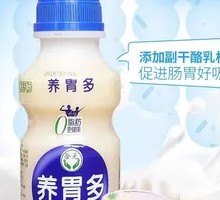 Lactic Acid Bacteria Beverage
