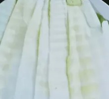 Bamboo Shoot