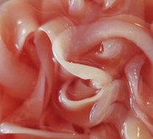 Premium Fresh Goose Intestines